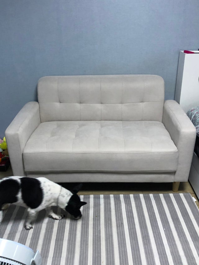 review-attachment-3619192f-3a89-4075-94ab-697c026fc93c.jpeg?type=w640