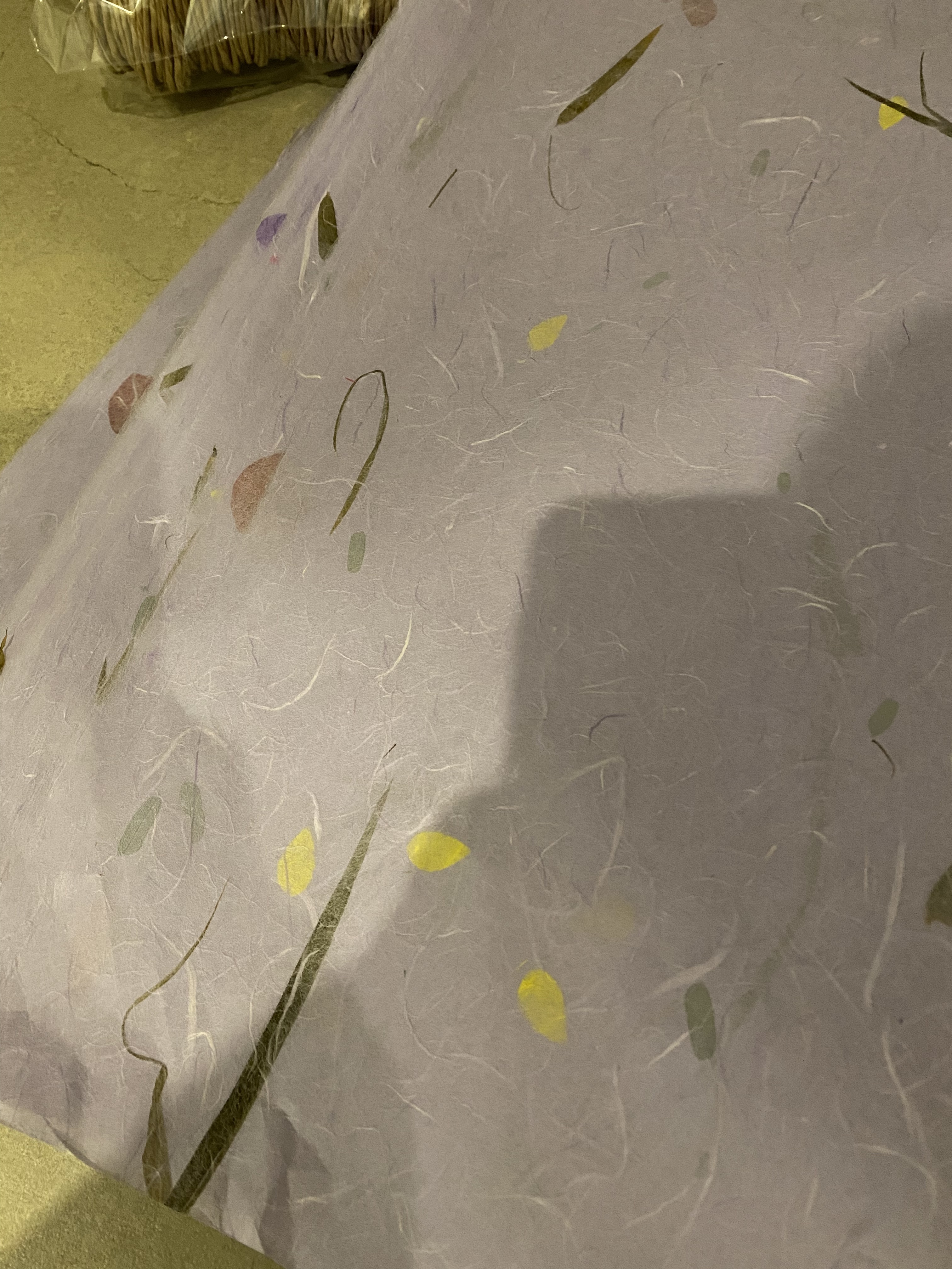 review-attachment-6f9fcb18-c332-4633-88c9-a2fe60dfb5ac.jpeg