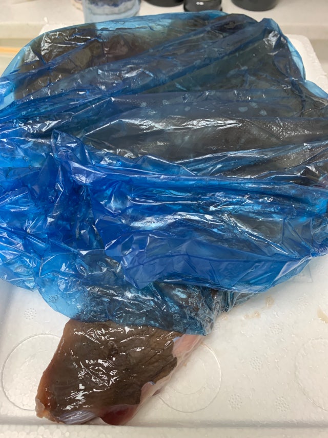 review-attachment-00d7d5c4-31ee-4200-b573-849f605a81ea.jpeg?type=w640