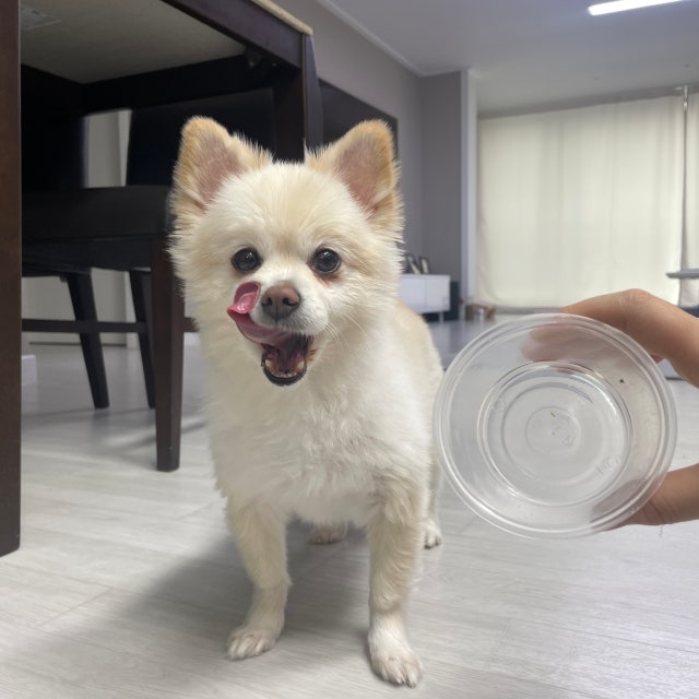 review-attachment-0ad1d2ba-b007-4fe8-a638-d96948d202e8.jpeg?type=w640