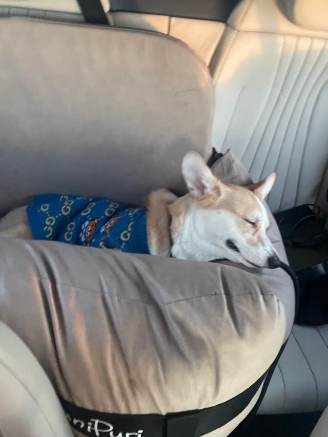 review-attachment-3927a3d9-7031-4bf8-9795-3bca8d9b7e70.jpeg?type=w640