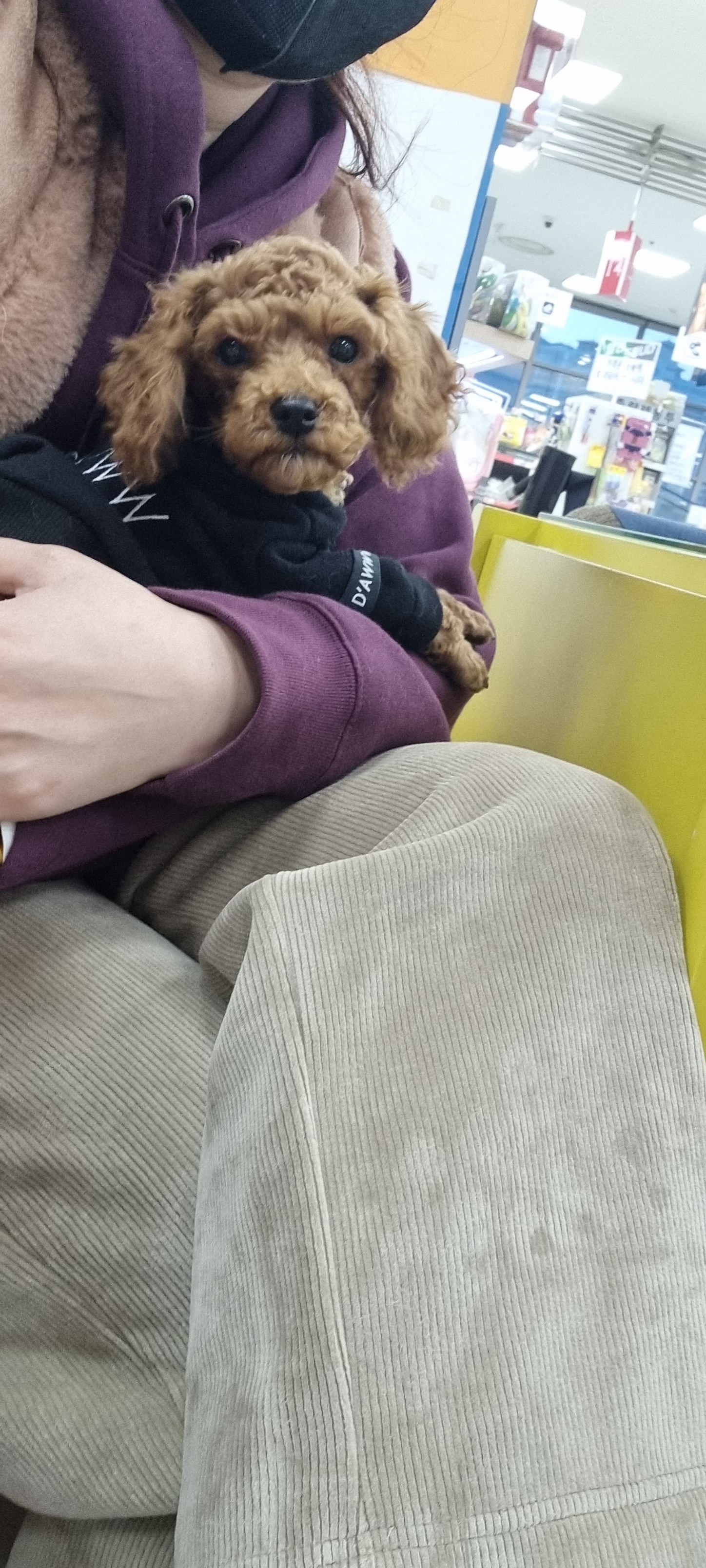 리뷰 이미지