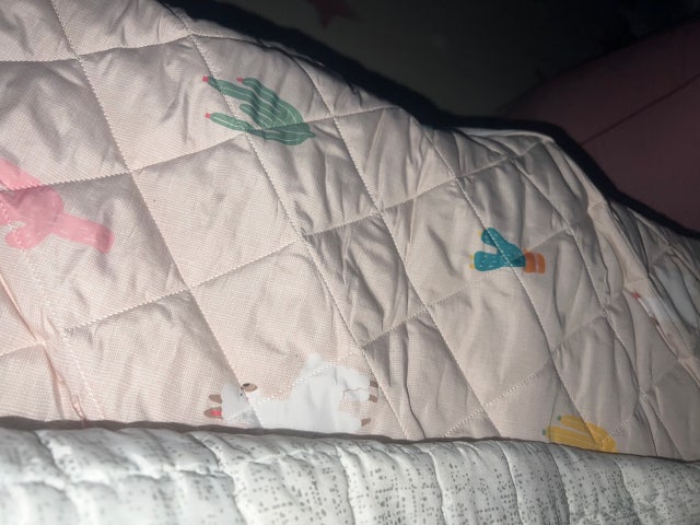 이미지를 찾을 수 없습니다.