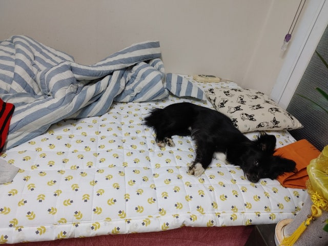 이미지를 찾을 수 없습니다.