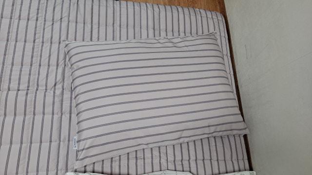 이미지를 찾을 수 없습니다.