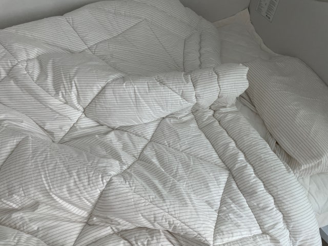 이미지를 찾을 수 없습니다.