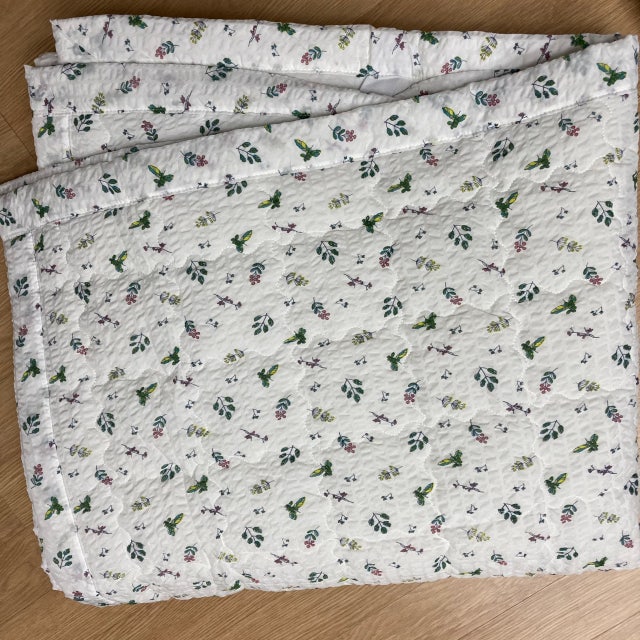 이미지를 찾을 수 없습니다.