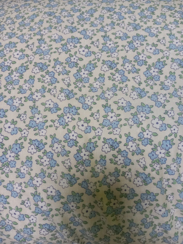 이미지를 찾을 수 없습니다.