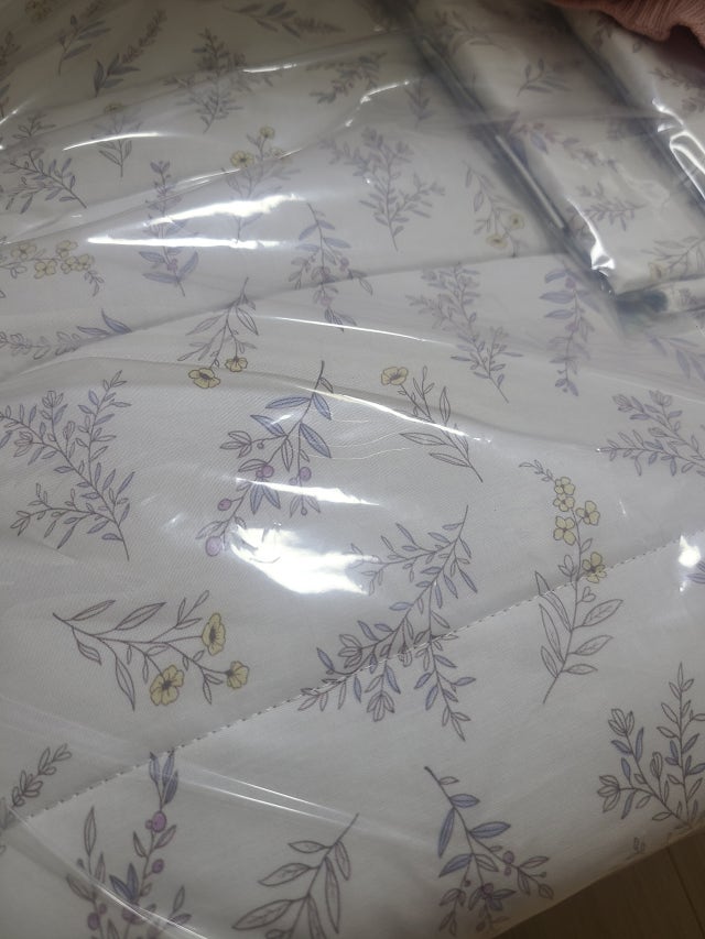 이미지를 찾을 수 없습니다.