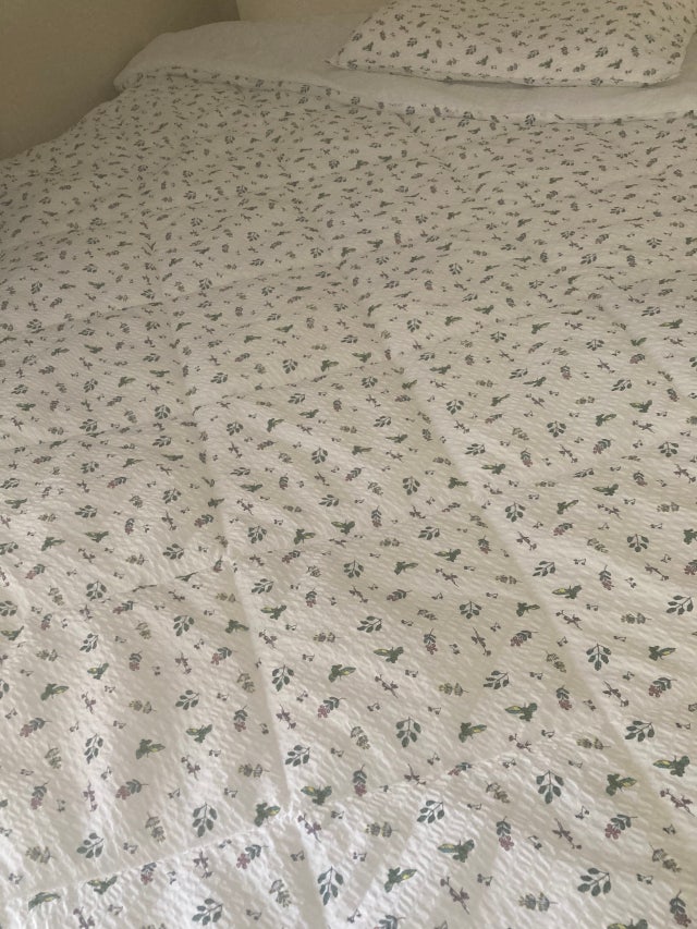 이미지를 찾을 수 없습니다.