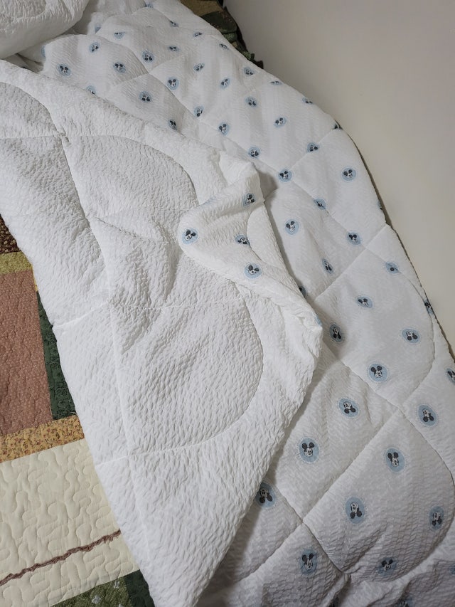 이미지를 찾을 수 없습니다.