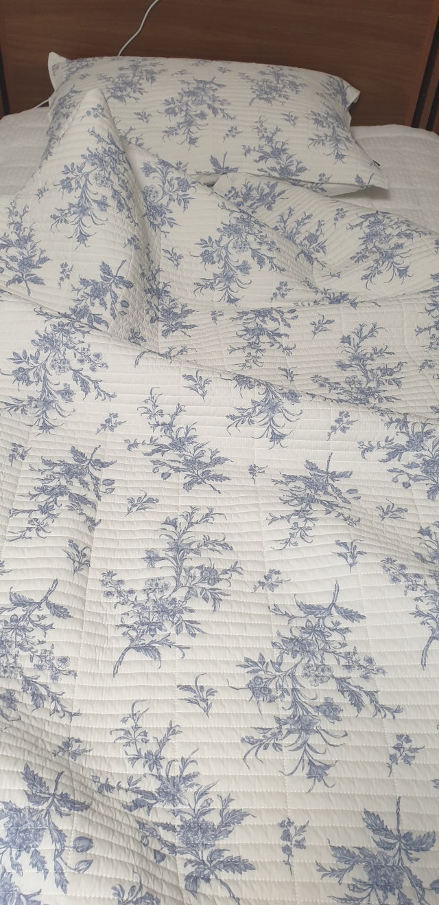 이미지를 찾을 수 없습니다.