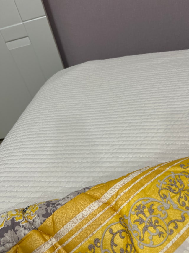 이미지를 찾을 수 없습니다.