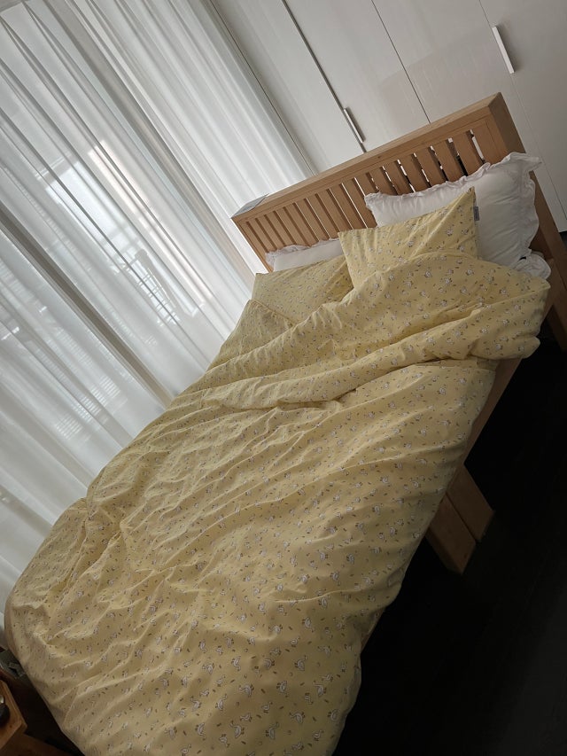 이미지를 찾을 수 없습니다.