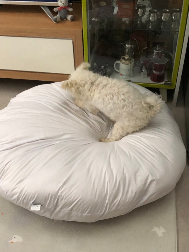 이미지를 찾을 수 없습니다.