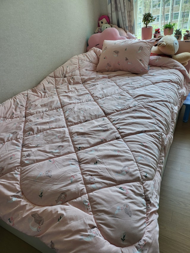 이미지를 찾을 수 없습니다.