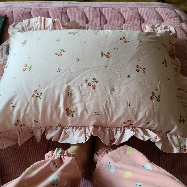 이미지를 찾을 수 없습니다.