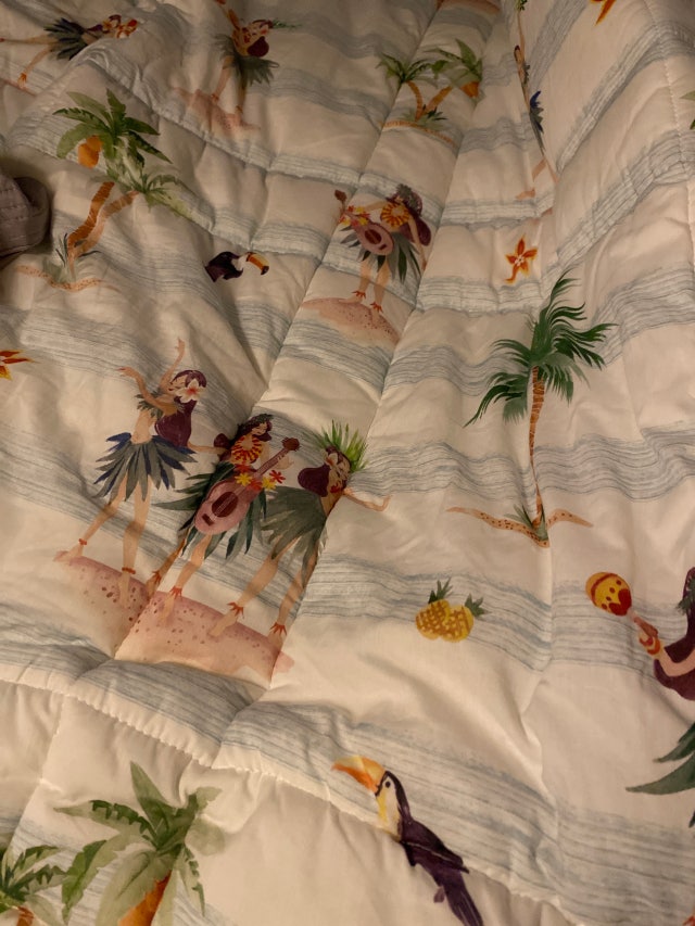 이미지를 찾을 수 없습니다.