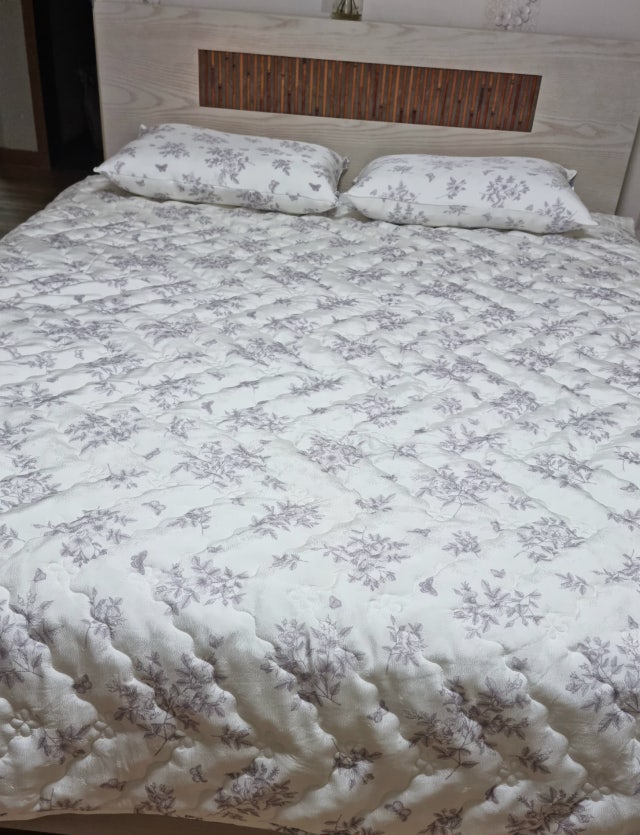 이미지를 찾을 수 없습니다.