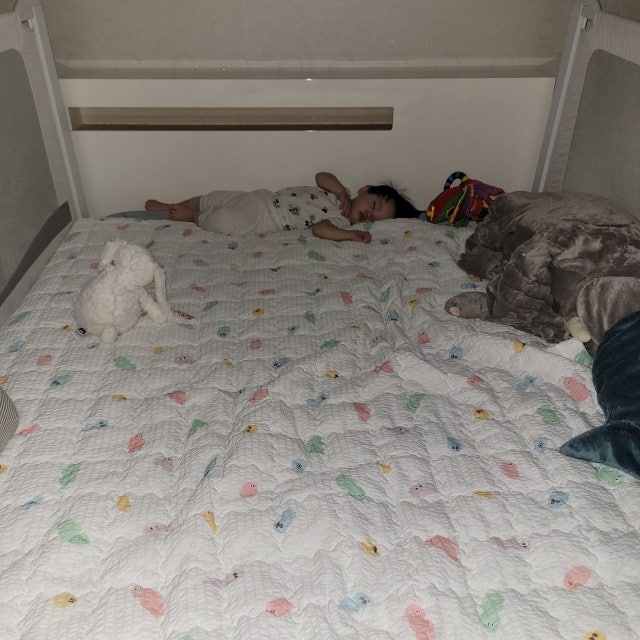 이미지를 찾을 수 없습니다.