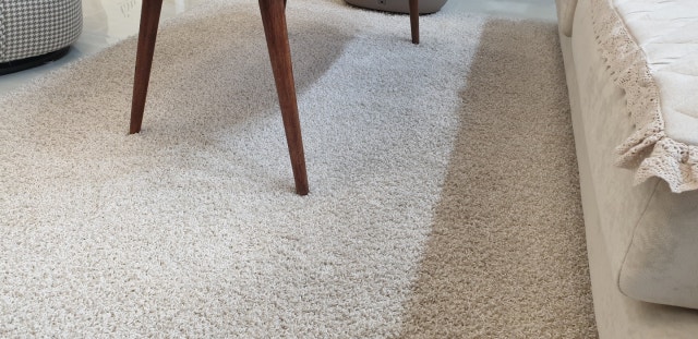 이미지를 찾을 수 없습니다.