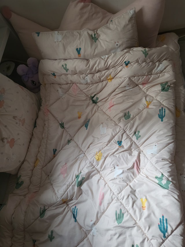 이미지를 찾을 수 없습니다.