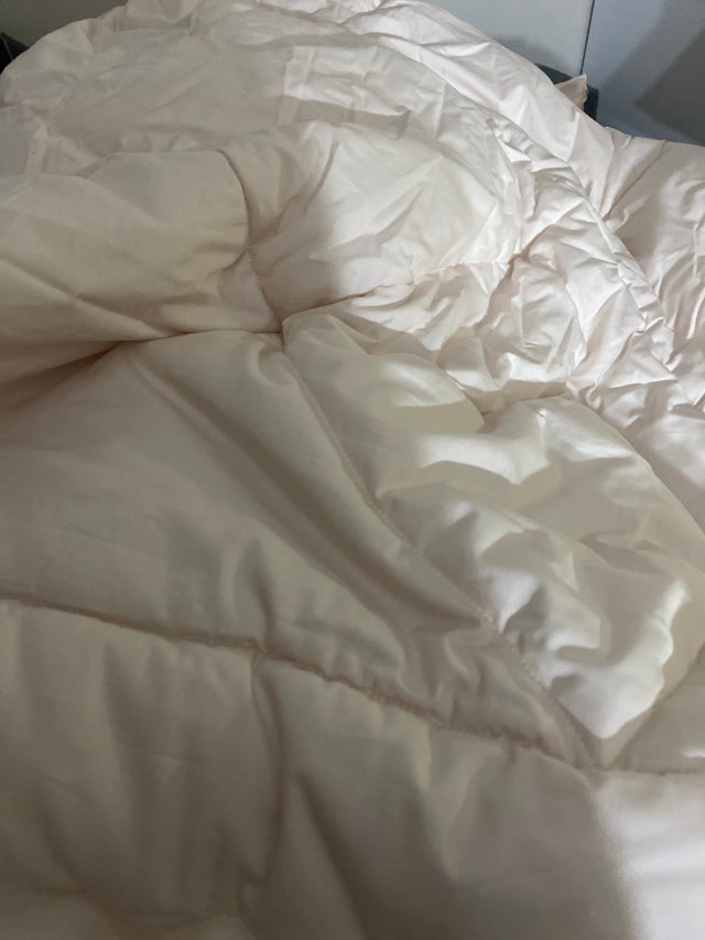 이미지를 찾을 수 없습니다.