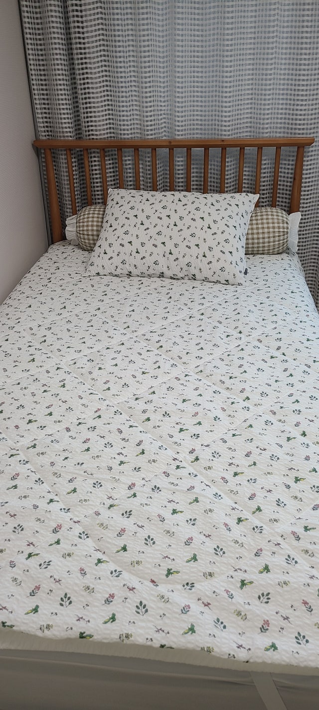 이미지를 찾을 수 없습니다.