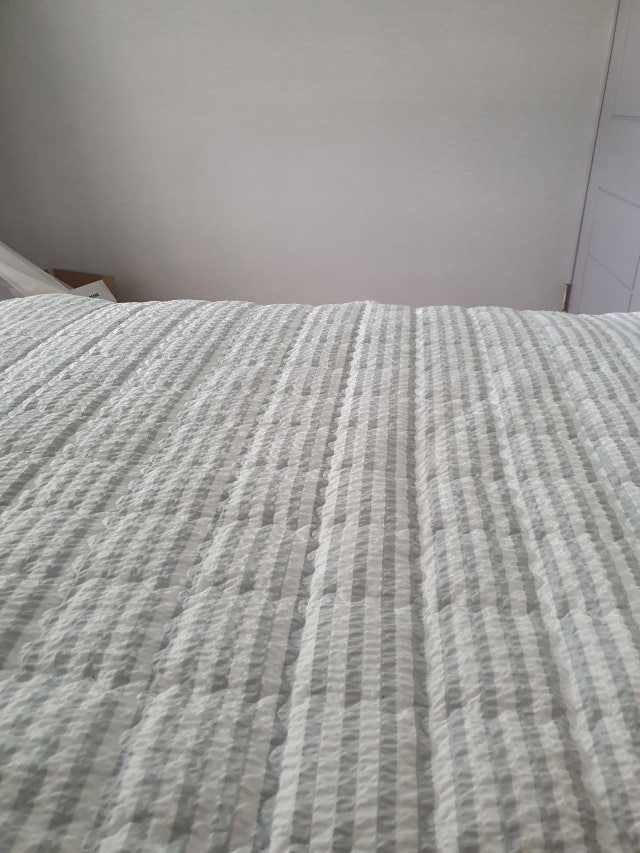 이미지를 찾을 수 없습니다.