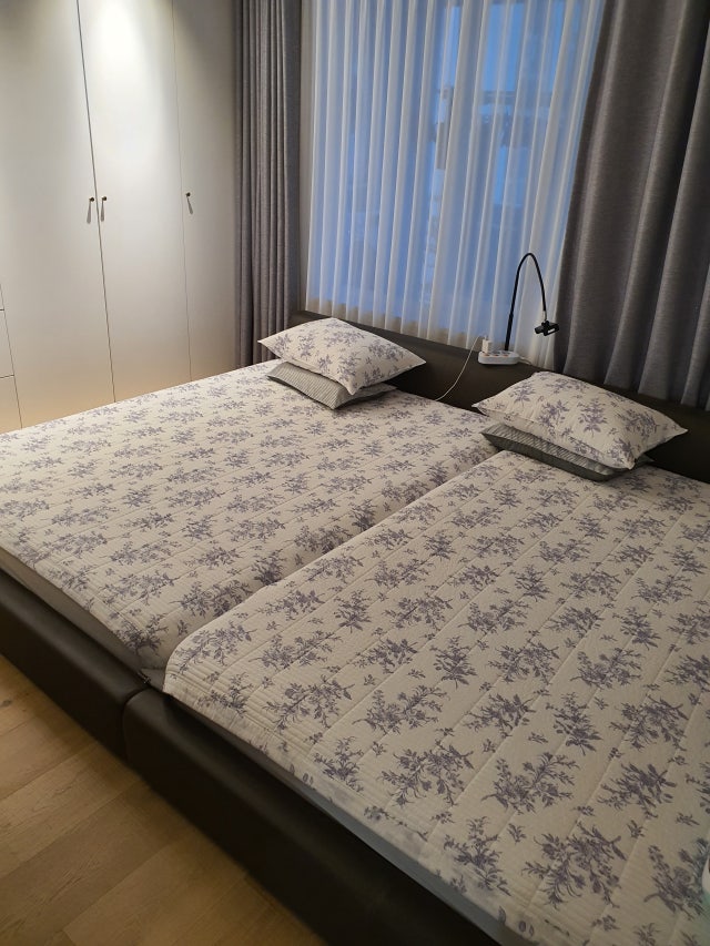 이미지를 찾을 수 없습니다.