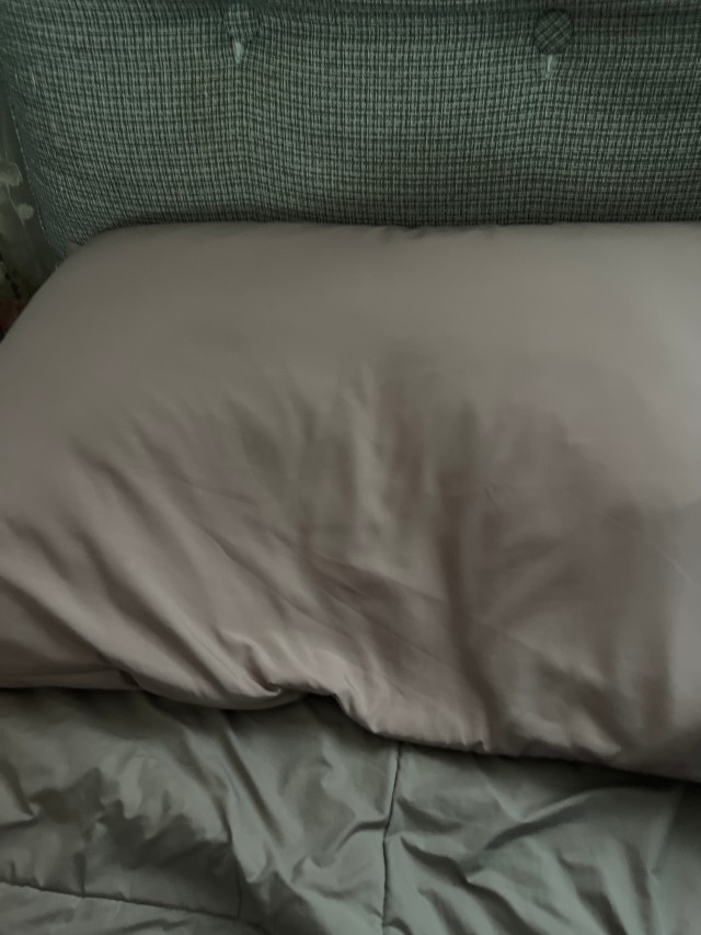 이미지를 찾을 수 없습니다.