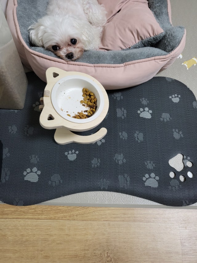 이미지를 찾을 수 없습니다.