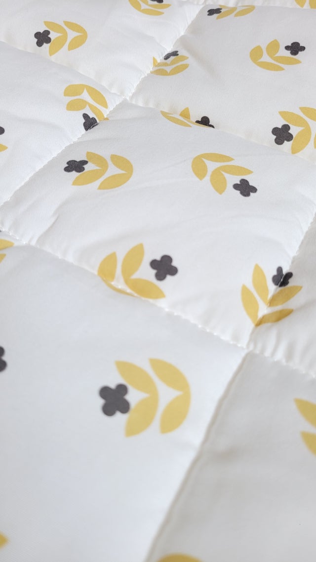 이미지를 찾을 수 없습니다.