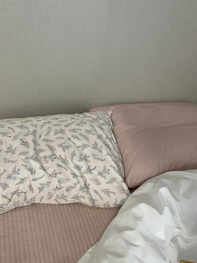 이미지를 찾을 수 없습니다.