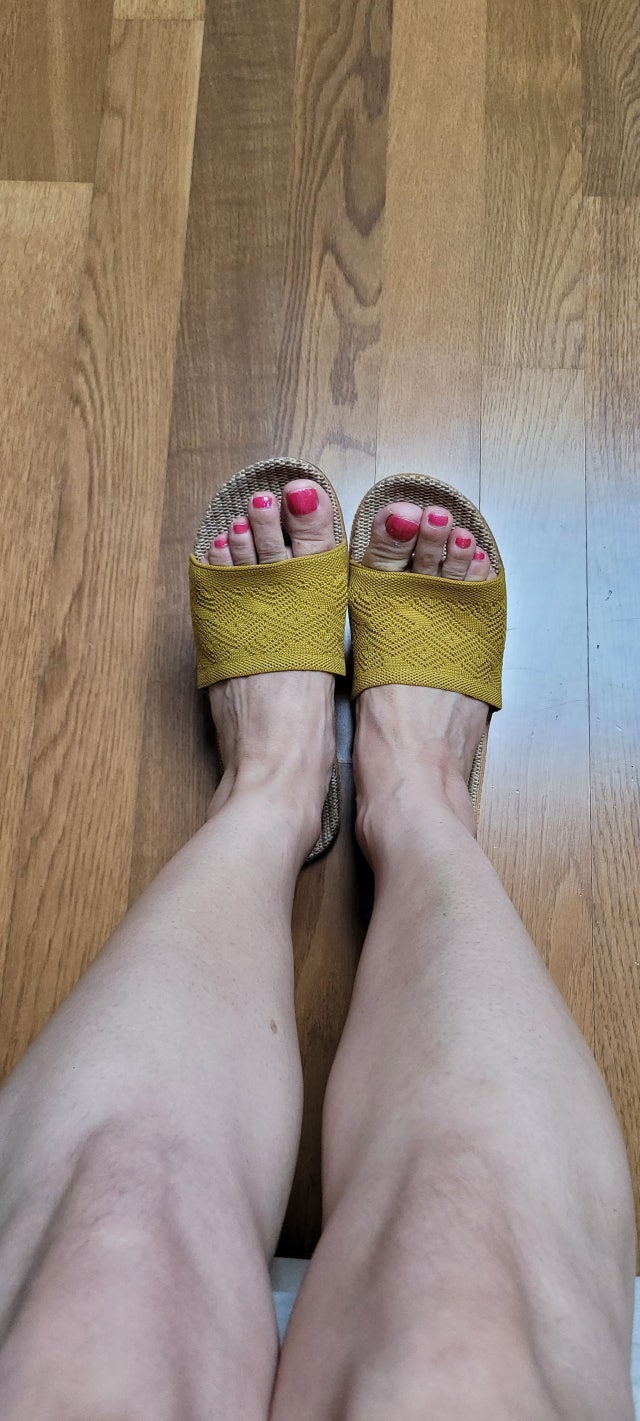 이미지를 찾을 수 없습니다.