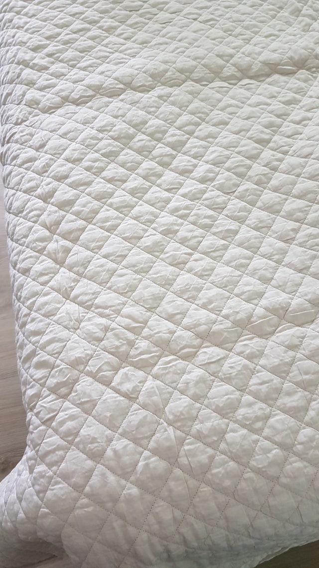 이미지를 찾을 수 없습니다.