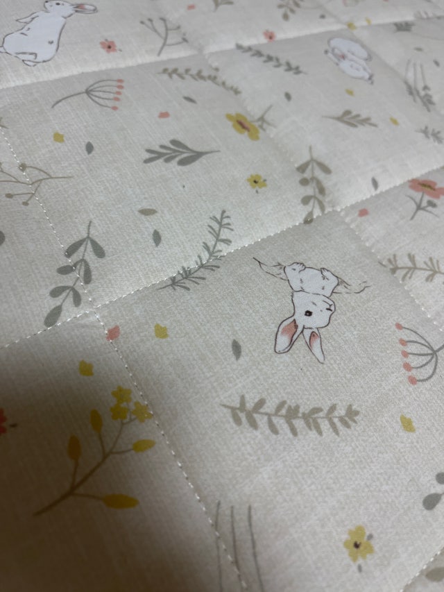 이미지를 찾을 수 없습니다.