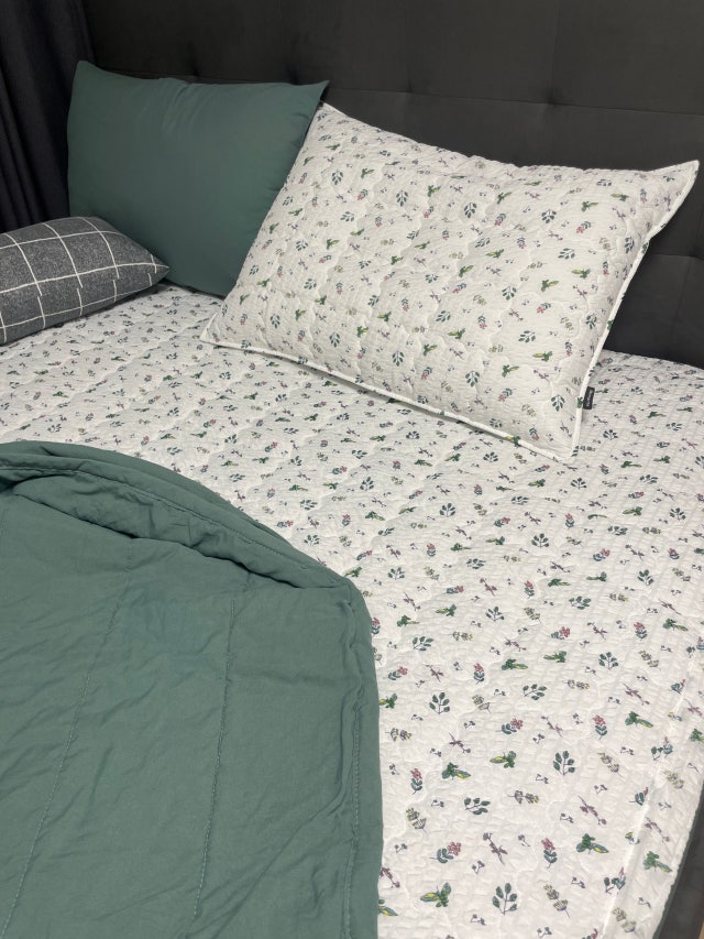 이미지를 찾을 수 없습니다.