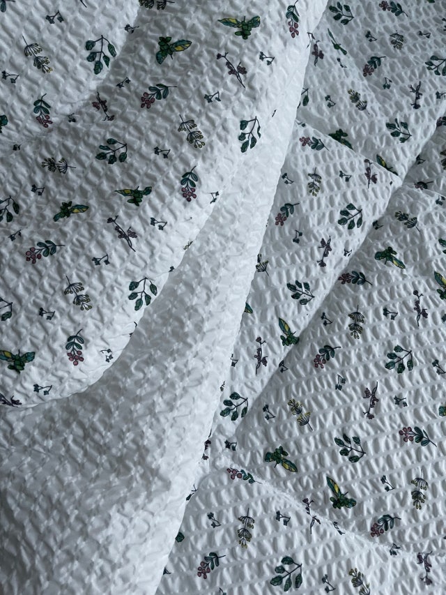 이미지를 찾을 수 없습니다.