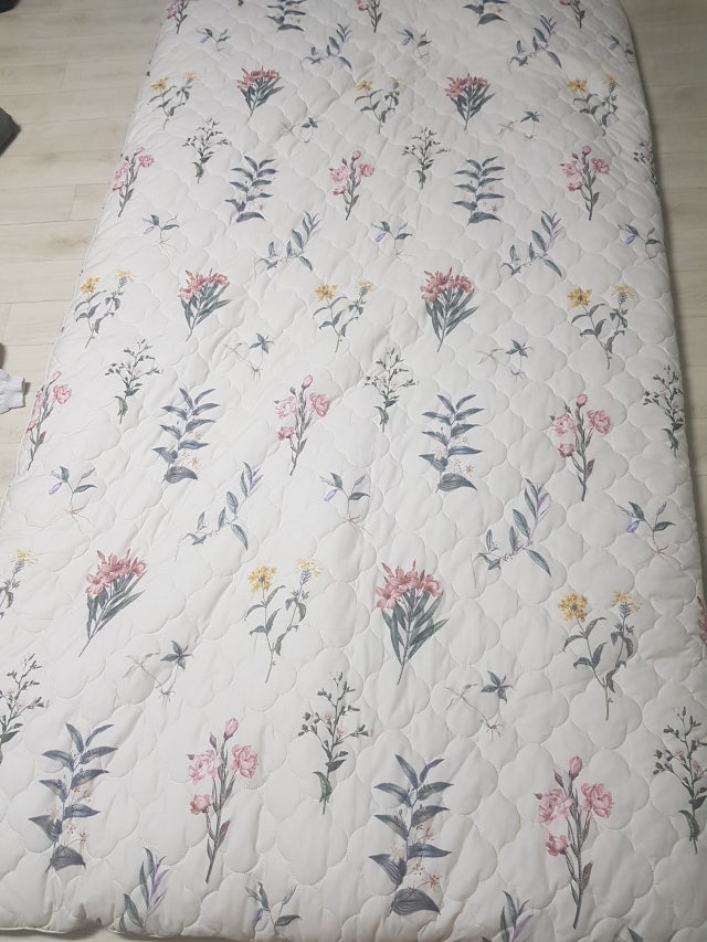 이미지를 찾을 수 없습니다.