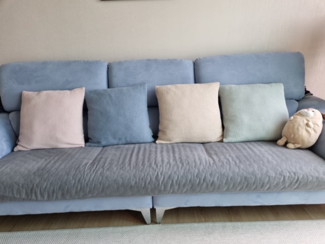 이미지를 찾을 수 없습니다.