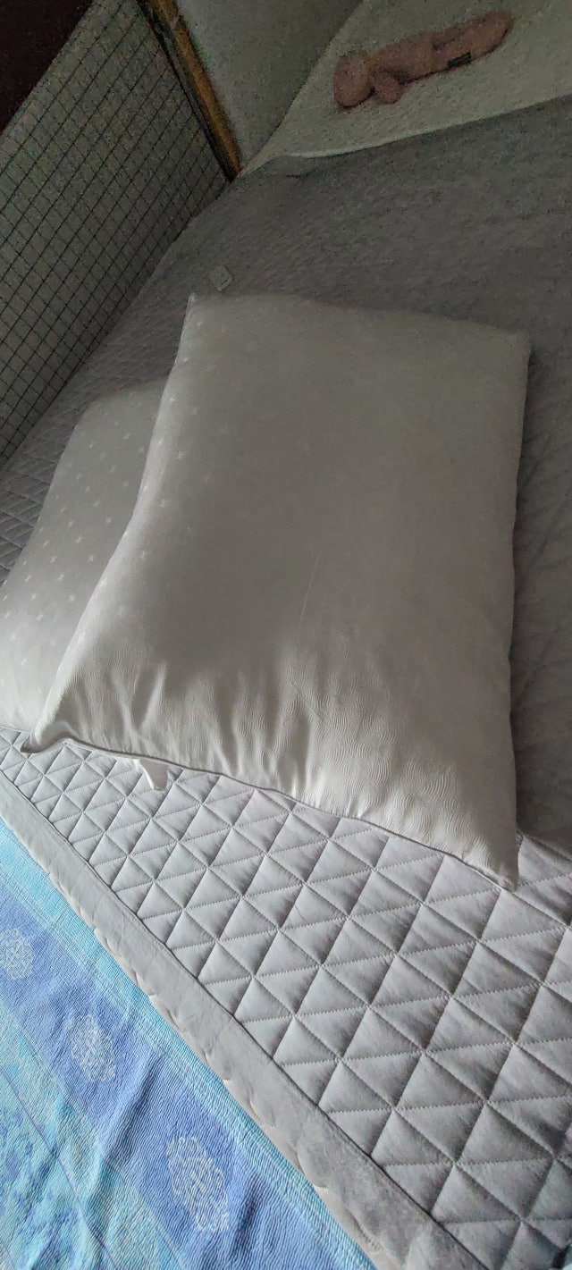 이미지를 찾을 수 없습니다.