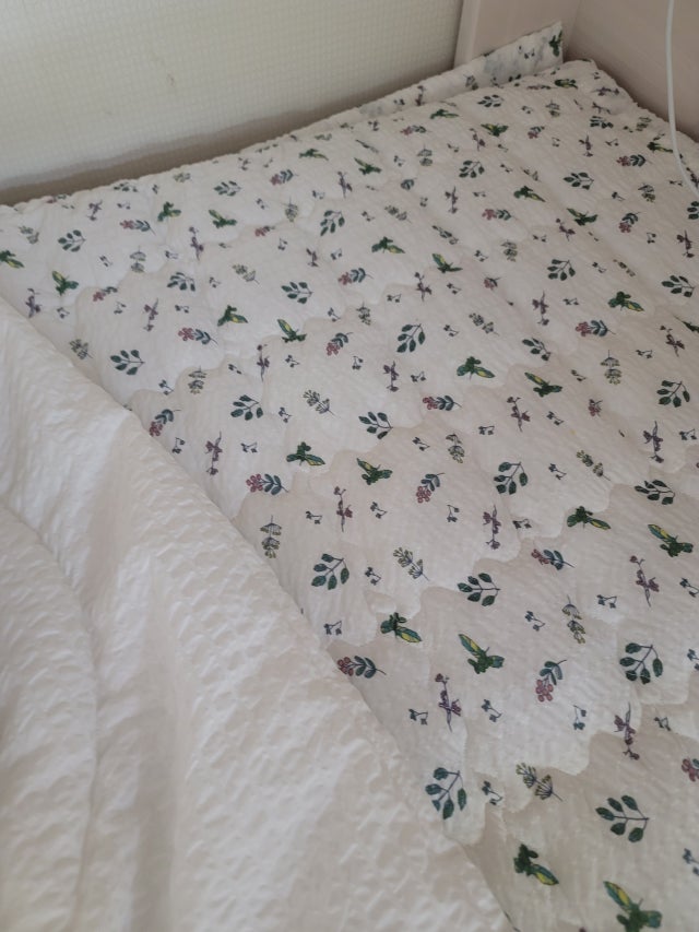 이미지를 찾을 수 없습니다.