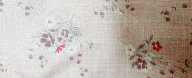 이미지를 찾을 수 없습니다.