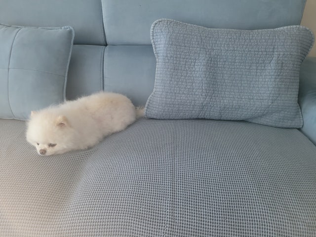 이미지를 찾을 수 없습니다.