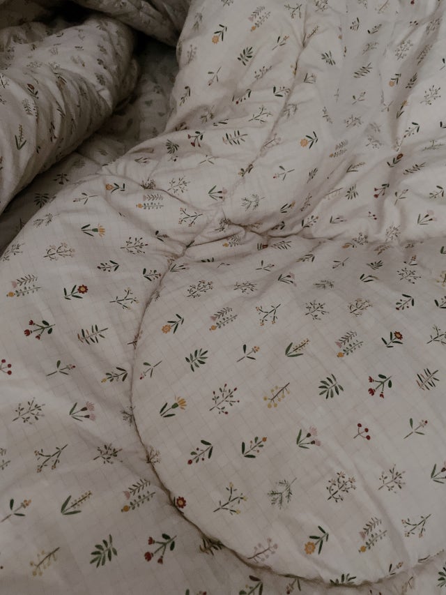 이미지를 찾을 수 없습니다.