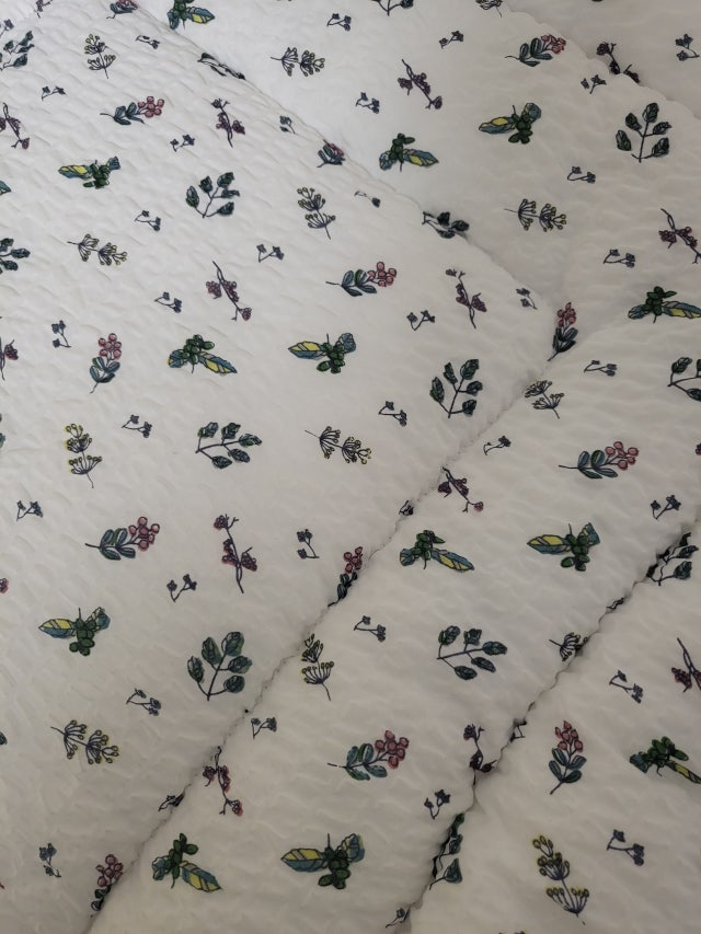 이미지를 찾을 수 없습니다.