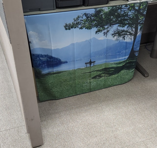 이미지를 찾을 수 없습니다.