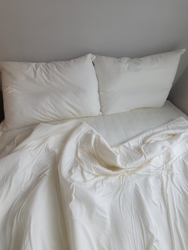 이미지를 찾을 수 없습니다.