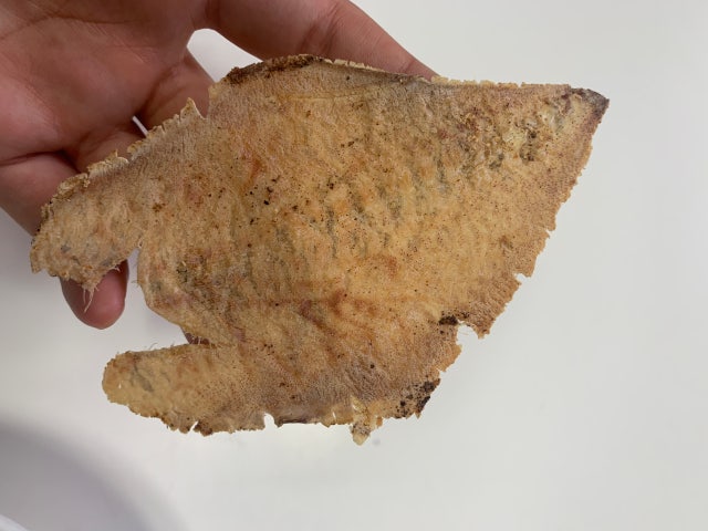 C55FD444-77C6-4DF9-8477-F6A8D9D6F0D7.jpeg?type=w640